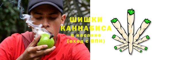 шишки Абинск