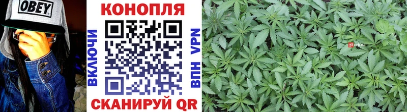 mega зеркало  Болотное  Шишки марихуана White Widow 